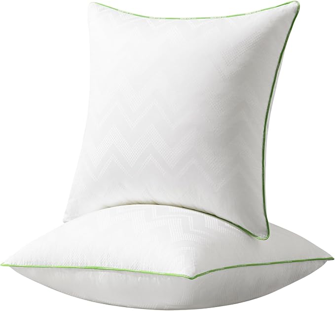 Ashler 16x16 Pillows Insert (Set of 2) - Throw Pillow Inserts with 100% Cotton Cover - 16 Inch Square Interior Sofa Stuffer Pillow Inserts -Decorative White Couch Pillow