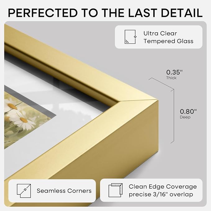 Homeforia 24x32 Gold Poster Frame, High-End Metal, 20x28 Mat, Glass