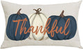 Ink Painting Blue Pumpkins Thankful Fall Y'all Thanksgiving Day Home Sofa Chair Bed Decoration Lumbar Pillowcase Cotton Linen Decorative Throw Pillow Cover Case Rectangular 12 x 20 Inches