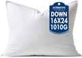 MIULEE 16x24 Inch Synthetic Down Alternative Pillow Insert | Decorative Throw Pillow 16 x 24 Inch Body Bed Sleeping Ultra Soft Fluffy Form for Sofa Couch Bed
