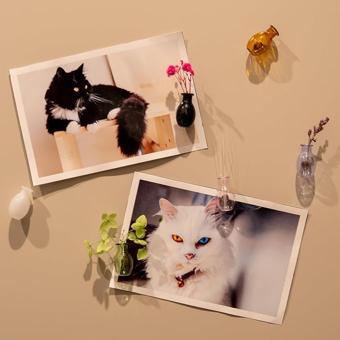 Nuvretk 2PCS Mini Vase Magnets, Cat Whisker Holder Glass Fridge Vase | Mini Glass Vase Magnet; Cat Whisker Keepsake Holder; Tiny Flower Display for Fridge Décor; Secure Magnetic Back