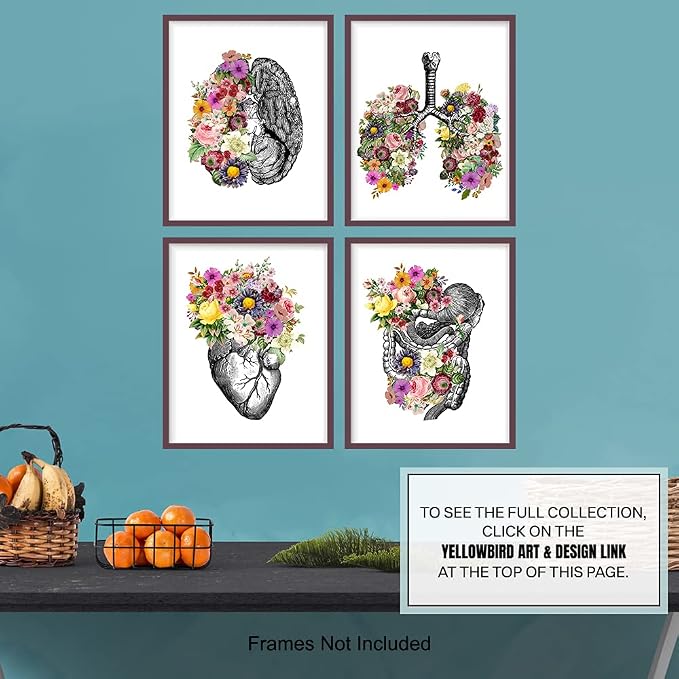 Original Flower Organs Wall Art Print Poster Set - Unique Steampunk Anatomy Home Decor for Dr Office - Gift for Doctor, Physician, Nurse, PA - 8x10 Unframed Photos - Heart, Lungs, Brain, Intestines