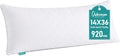 Oubonun 14x36 Inches Grid Pattern Lumbar Throw Pillow Inserts, Pack of 1, Soft Plush Down Alternative, Machine Washable White Decorative Cushion Stuffer for Couch Sofa Bed