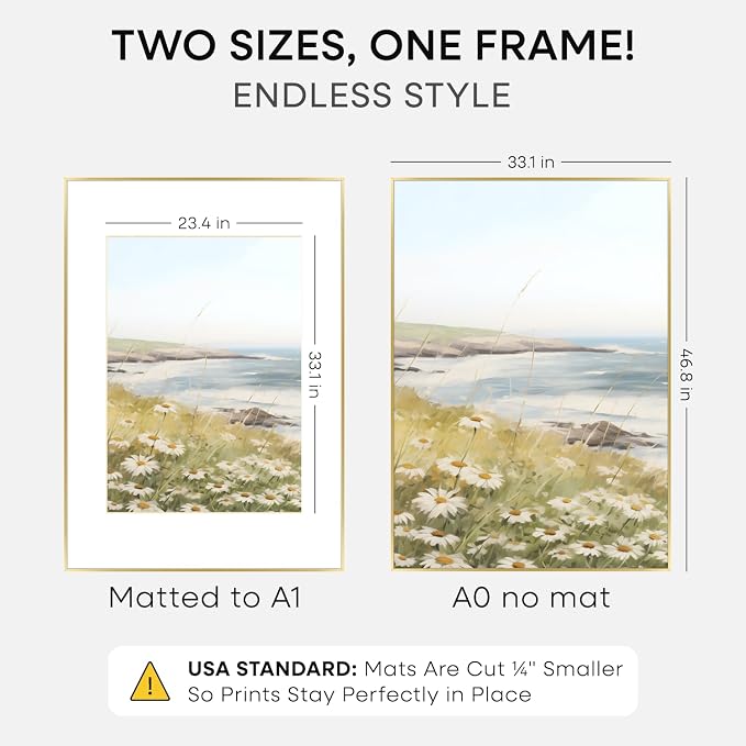 Homeforia A0 Gold Poster Frame, High-End Metal, A1 Mat, Glass