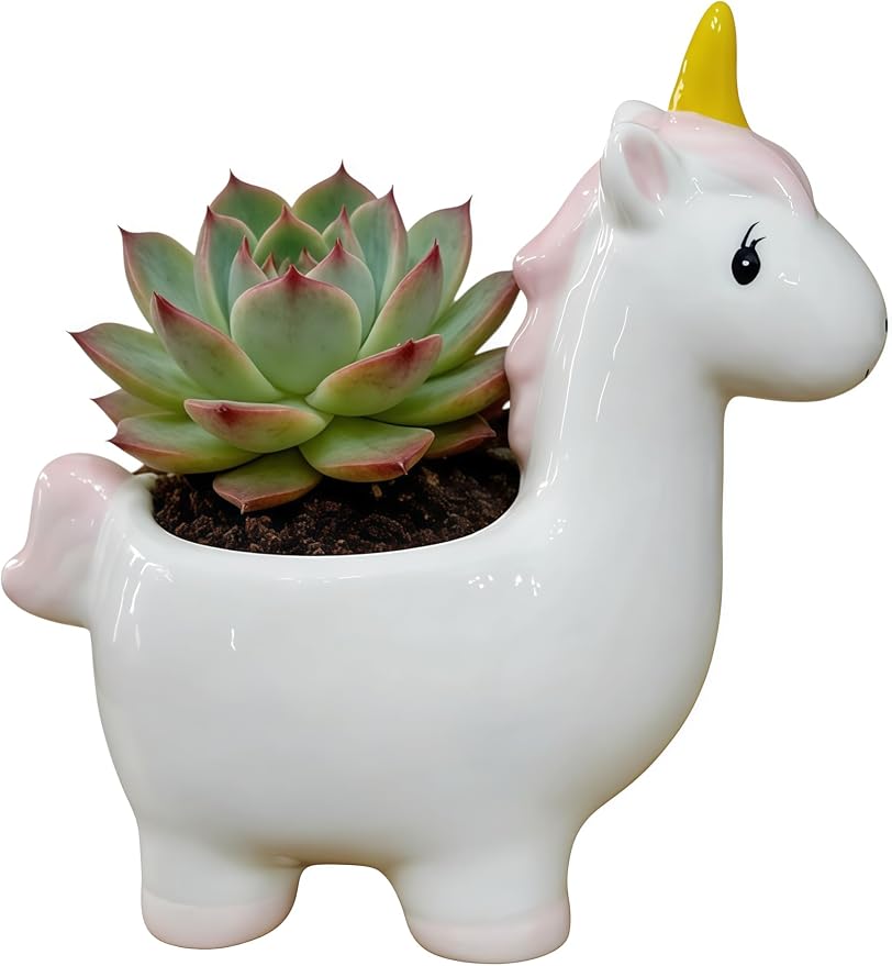 Cuteforyou Succulent Pots,Cute Animal Shaped Cartoon Ceramic Succulent Cactus Flower Planters -Plant Not Included，Horse