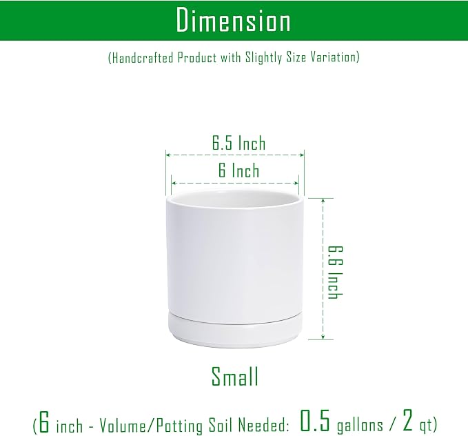 D'vine Dev 6.5 Inch Ceramic Planter Pot, White, 94-O-C-1 | Modern Cylinder Design, Drainage Hole & Saucer Included, Stable Structure, Elegant Home Accent