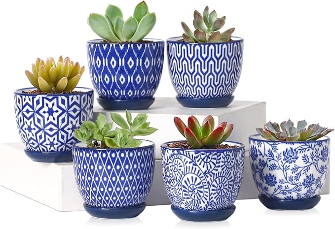 Selamica Ceramic 2.4 Inch Succulent Pots, Mini Succulent Planter Pot for Cactus Plant with Drainage Holes & Saucers, Home Decor, Set of 6, Vintage Blue
