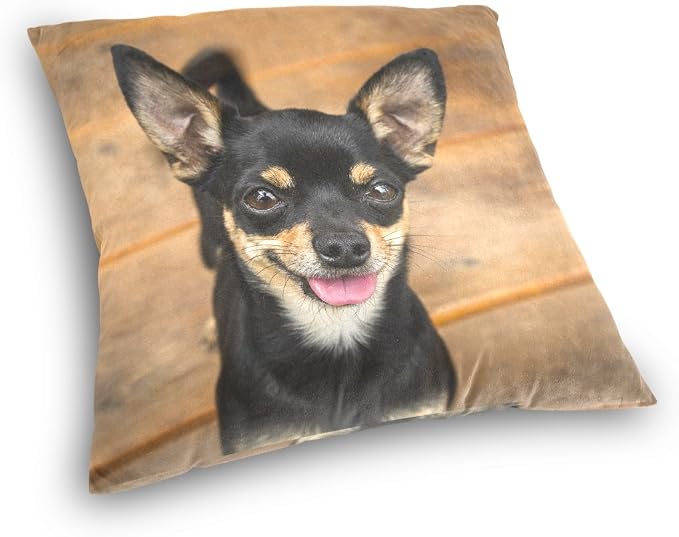 Hokkien Cute Smiling Black Chihuahua Decorative Square Throw Pillow Case Cushion Cover for Sofa Bedroom Car Double-Sided Design 16 x 16 inch