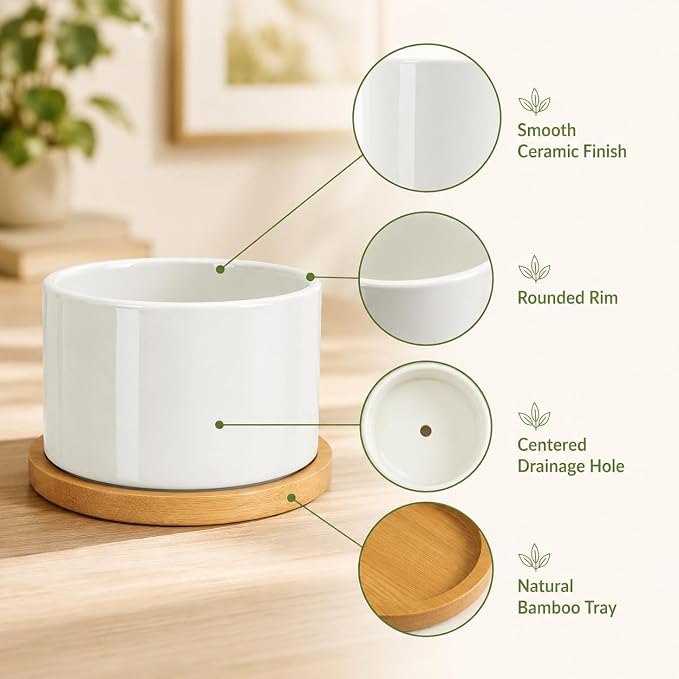 ZOUTOG 6 Pack 3.6" Ceramic Succulent Pots,White Planter with Drainage Tray
