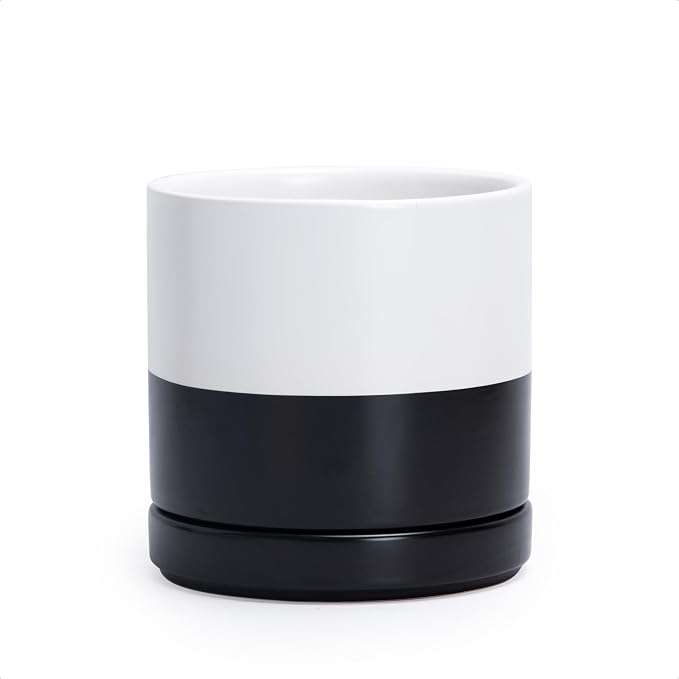D'vine Dev 6.5 Inch Ceramic Planter Pot, Black White Two Tone, 94-O-C-L | Modern Cylinder Design, Drainage Hole & Saucer Included, Stable Structure, Elegant Home Accent
