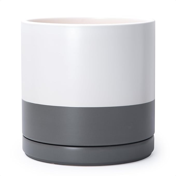 D'vine Dev 12 Inch Ceramic Planter Pot, White/Grey, 94-O-F-6 | Modern Cylinder Design, Drainage Hole & Saucer Included, Stable Structure, Elegant Home Accent