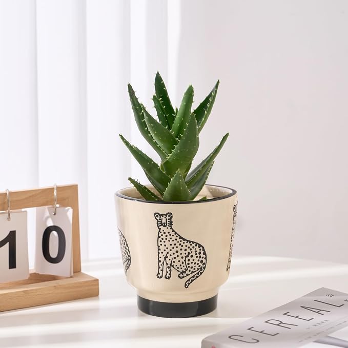 STHIE 5 Inch Ceramic Planters for Indoor Plants, Funny Small Plant Pots