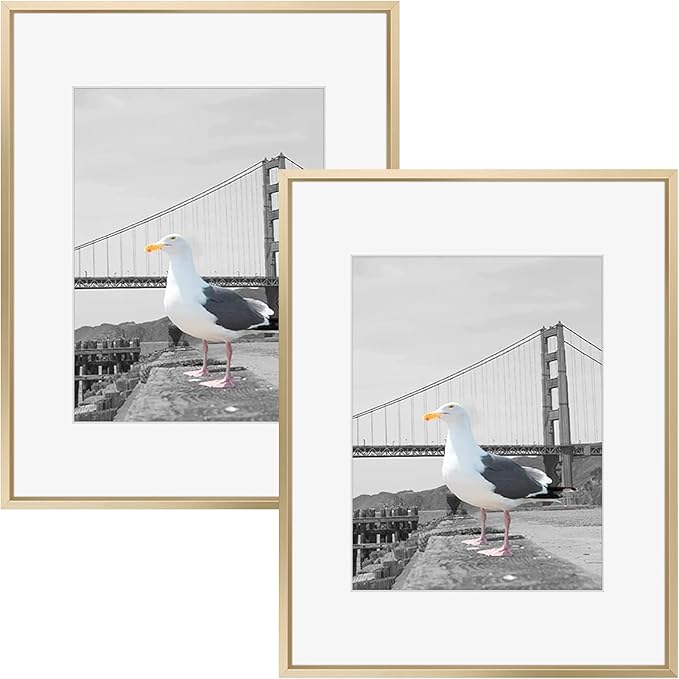 Frametory 16x20 Gold Aluminum Metal Picture Frame Mat for 11x14 Glass