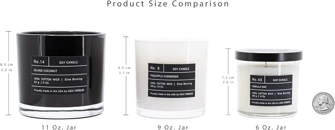 Lulu Candles | Ocean Breeze | Highly Scented Candles for Home | Soy Blend Jar Candle with 100% Cotton Wick | Slow Burning (6 Oz.)