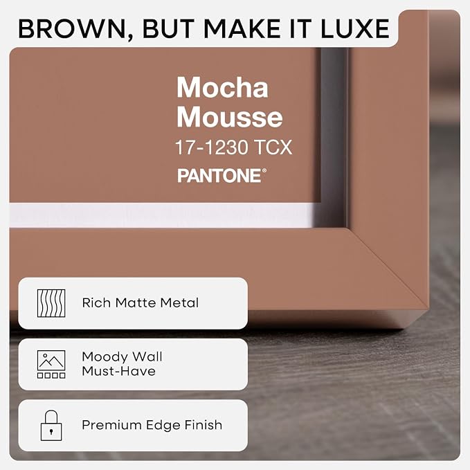 Homeforia 20x24 Mocha Picture Frame, High-End Metal, 16x20 Mat, Glass