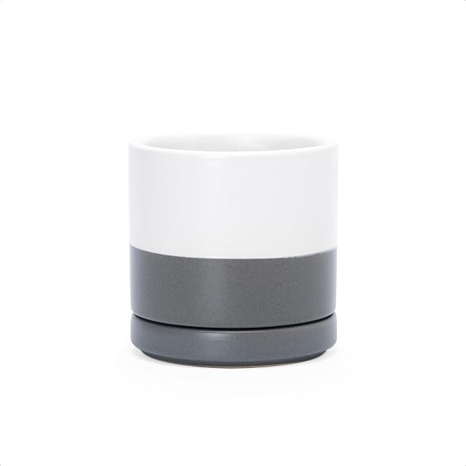 D'vine Dev 3.5 Inch Ceramic Planter Pot, White/Grey, 94-O-A-6 | Modern Cylinder Design, Drainage Hole & Saucer Included, Stable Structure, Elegant Home Accent