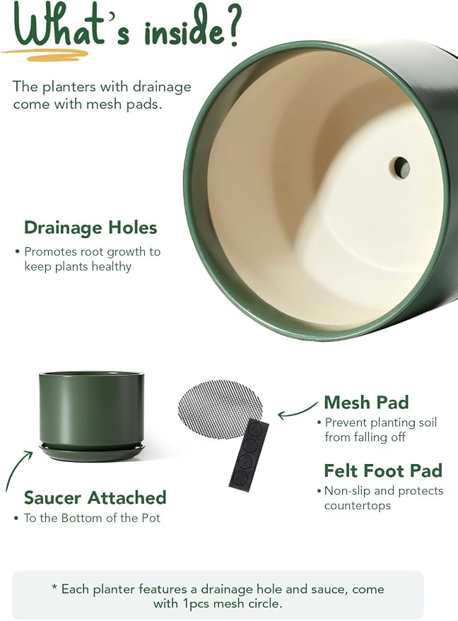 LE TAUCI Ceramic Pots for Plants, 8 Inch Plant Pot with Drainage Hole & Saucer, Modern Planters for Indoor Plants, Round Flower Pot for Snake Plant, Monstera, Perfect for Home Decor, Forest Green