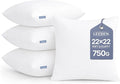 Leeden 22x22 Pillow Inserts Pack of 4, 22 Inch Throw Pillow Inserts, Soft Fluffy Decorative Square Pillow Inserts for Couch, Sofa, Bed, and Home Decor White Pillows