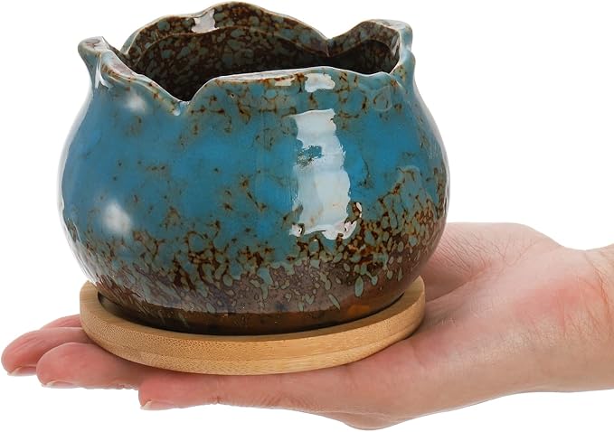 TOPZEA Set of 6 Succulent Plant Pots, 4 Inch Glazed Ceramic Pots with Drainage and Saucer, Mini Bonsai Planter Small Flower Pots for Indoor Outdoor Use