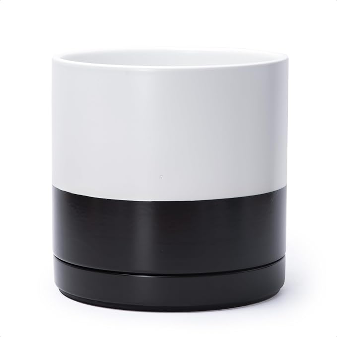 D'vine Dev 10 Inch Ceramic Planter Pot, Black White Two Tone, 94-O-E-L | Modern Cylinder Design, Drainage Hole & Saucer Included, Stable Structure, Elegant Home Accent