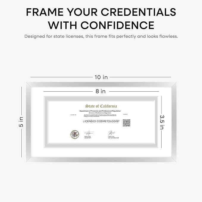 Homeforia 5x10 Silver License Frame, High-End Metal, 3.5x8 Mat, Glass