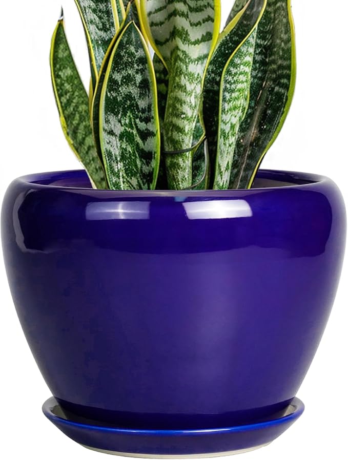 Ceramicfor Ceramic Plant Pot 8 Inch, Planter for Indoor Plants, Royal Blue | Indoor Plant Pot with Drainage Hole and Saucer, Round Planter, Modern Flower Pot, House Decor, Plant Lovers Gifts
