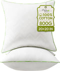 Ashler 20 x 20 Pillow Inserts Set of 2, Hypoallergenic Pillow | 100% Cotton Cover, Square Interior Sofa Stuffer, Decorative Pilloes for Sofa Couch, Fluffy & Supportive