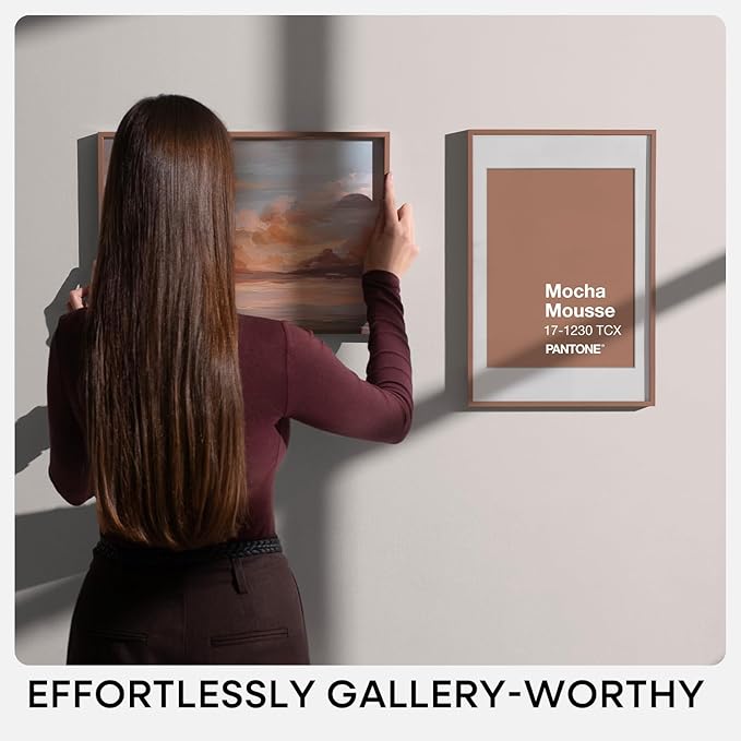Homeforia 20x28 Mocha Picture Frame, High-End Metal, 14x22 Mat, Glass