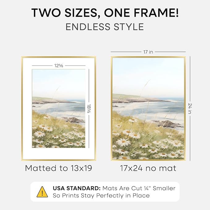 Homeforia 17x24 Gold Picture Frame, High-End Metal, 13x19 Mat, Glass