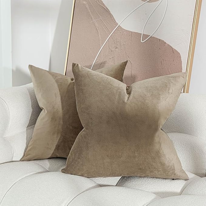 JUSPURBET Decorative Velvet Throw Pillow Covers 20x20 Set of 2,Stone