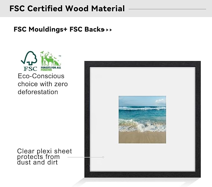 18x18 Poster Frame-Black,8x8 Mat,Engineered Wood,Polished Plexiglass