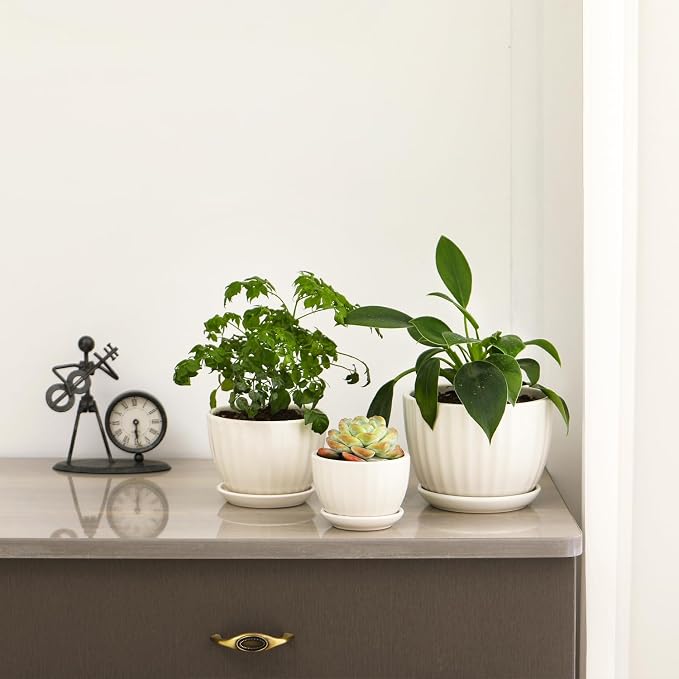 Ceramic Plant Pots with Saucers, Round White Flower Pots for Indoor Plant | Small Flower Planters with Drainage Holes, Diameter 3.3/4.3/5.5 Inches, Set of 3