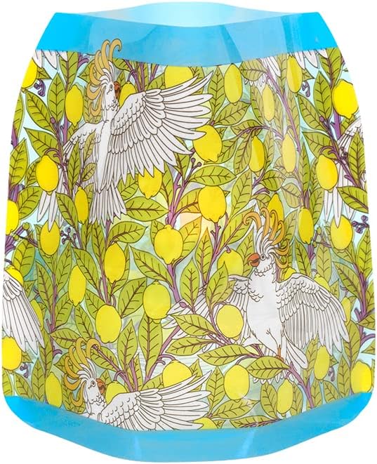 MODGY Luminary Lanterns Candle Holder Decorative Indoor Outdoor Decor, Lanterns for Wedding Centerpiece Decoration Outside Patio 4-Pack, with Flameless Floating LED Candles Verneuil Cockatoo