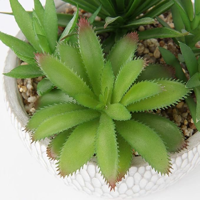 Briful Small Fake Plants Assorted Faux Succulents in Pots Realistic Succulents Plants Artificial with Cement Pots for Home Table Office Desk Bathroom Shelf Living Room Decor