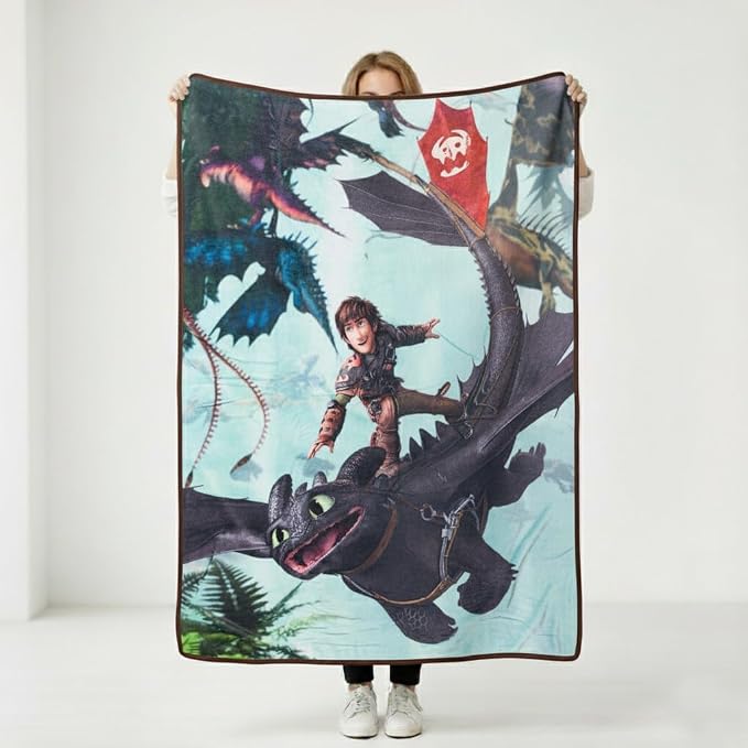 Silver Buffalo How to Train Your Dragon, Fleece Throw Blanket, 45x60in | Plush, Hiccup and Night Fury