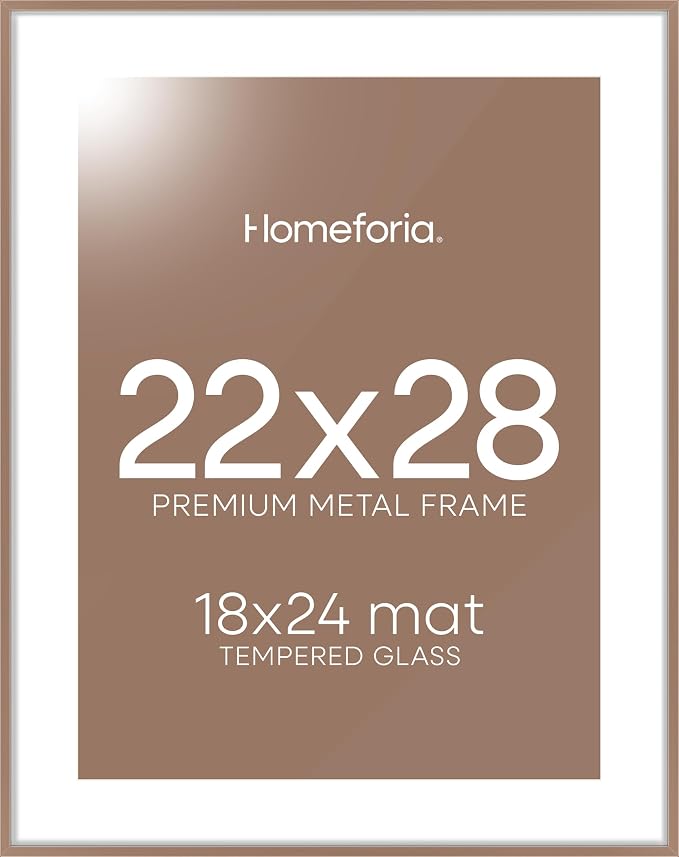 Homeforia 22x28 Mocha Poster Frame, High-End Metal, 18x24 Mat, Glass