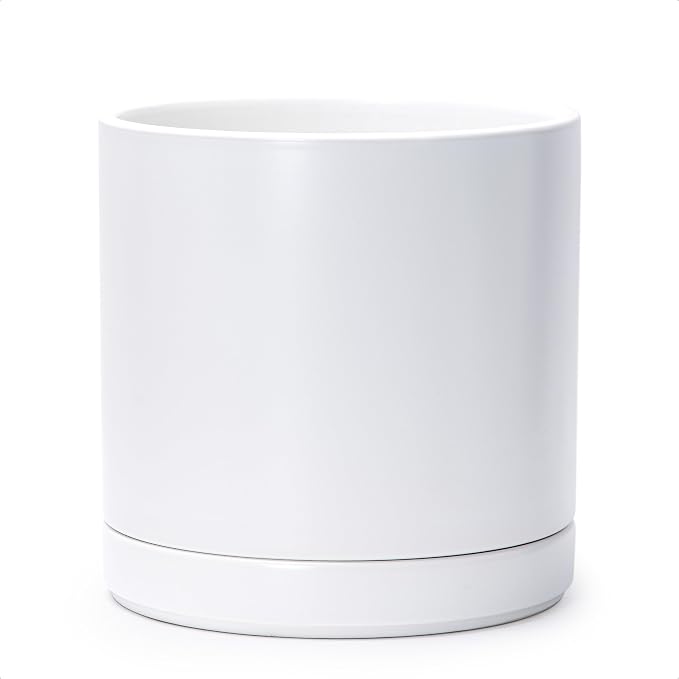 D'vine Dev 10 Inch Ceramic Planter Pot, White, 94-O-E-1 | Modern Cylinder Design, Drainage Hole & Saucer Included, Stable Structure, Elegant Home Accent