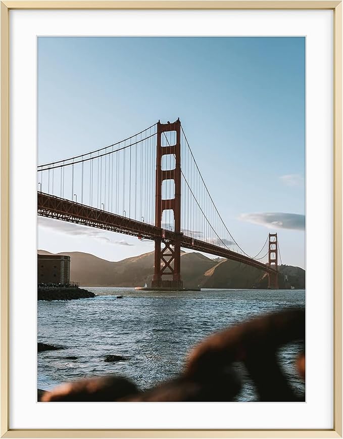 Frametory 14x18 Gold Aluminum Metal Picture Frame Mat for 12x16 Glass