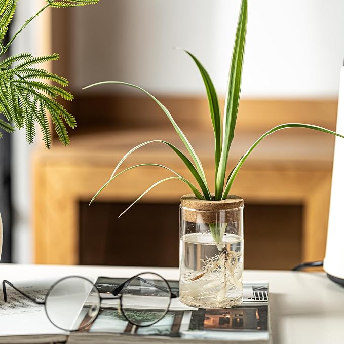 Glass Plant Propagation Station Set of 6, Modern Desktop Flower Vase for Succulent Cuttings, Home Office Decoration, Ideal Housewarming Gift for Living Room, Bedroom