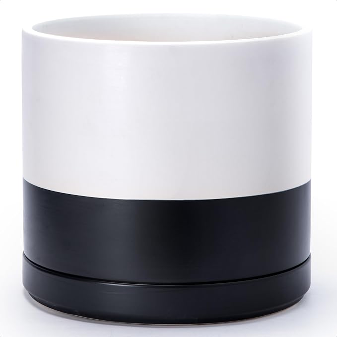D'vine Dev 14 Inch Ceramic Planter Pot, Black White Two Tone, 94-O-G-L | Modern Cylinder Design, Drainage Hole & Saucer Included, Stable Structure, Elegant Home Accent