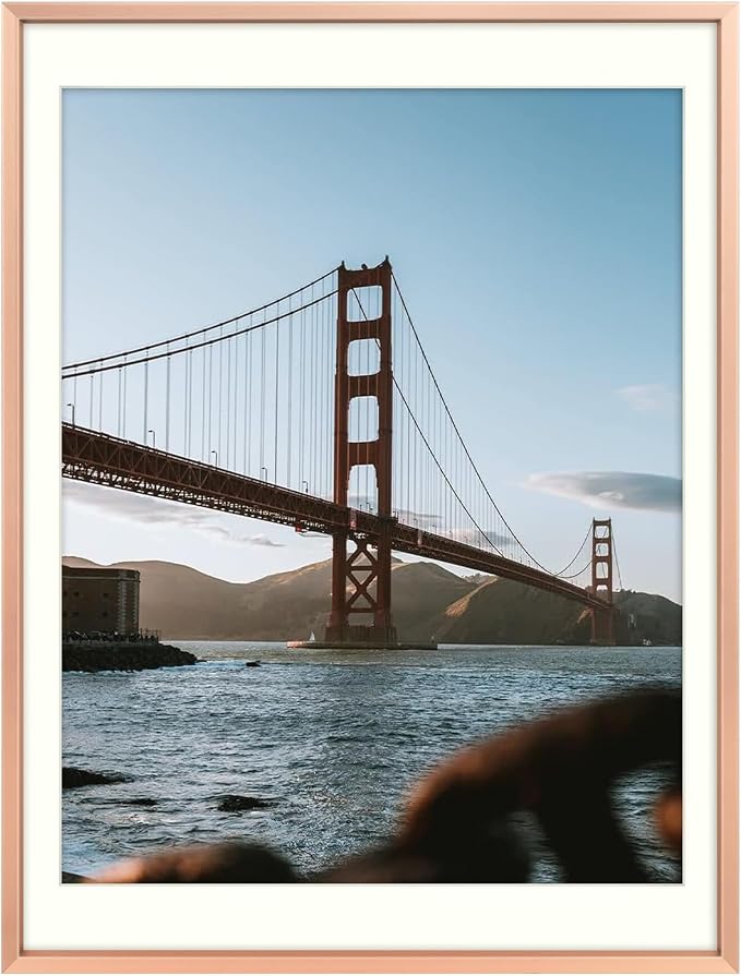 Frametory 12x16 Rose Gold Aluminum Metal Picture Frame Mat for 11x14 Glass