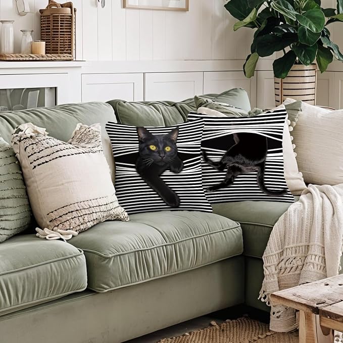 Funny Moody Black Cat Pillow Covers Covers18x18 - Set of 2, Cat Room Decor, Whimsical Kitten Striped Decorative Throw Pillow Covers Pillowcases for Bedroom Living Room Home Decor