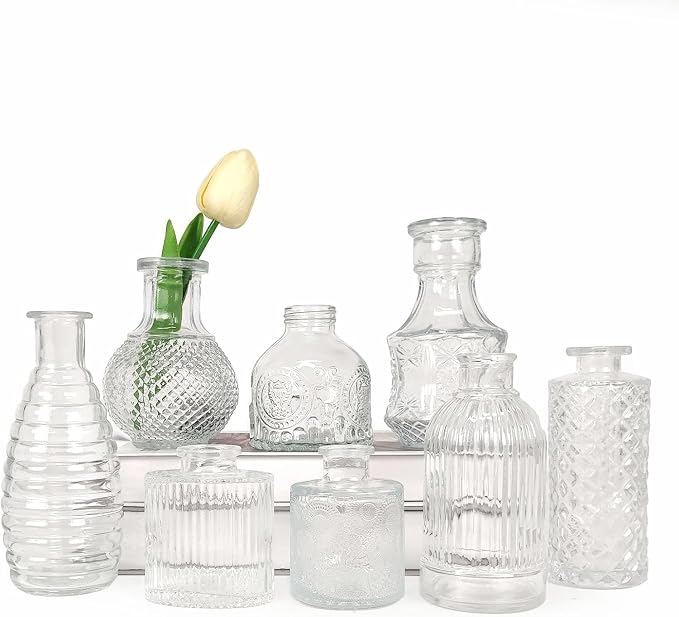 8 Pcs Glass Bud Vases Clear Vintage Small Flower Vases for Table Decor