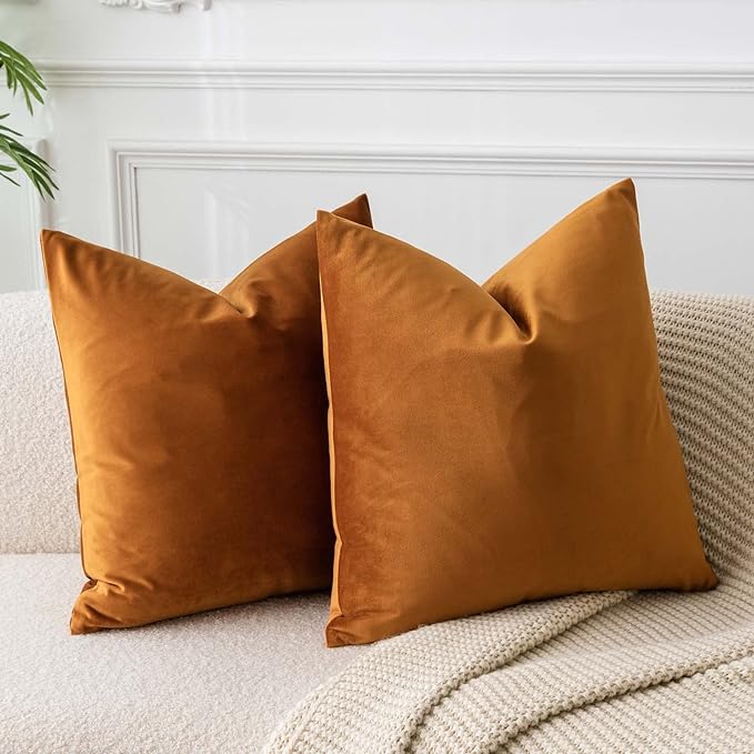 JUSPURBET 28x28 Euro Velvet Throw Pillow Covers Set of 2,Rust