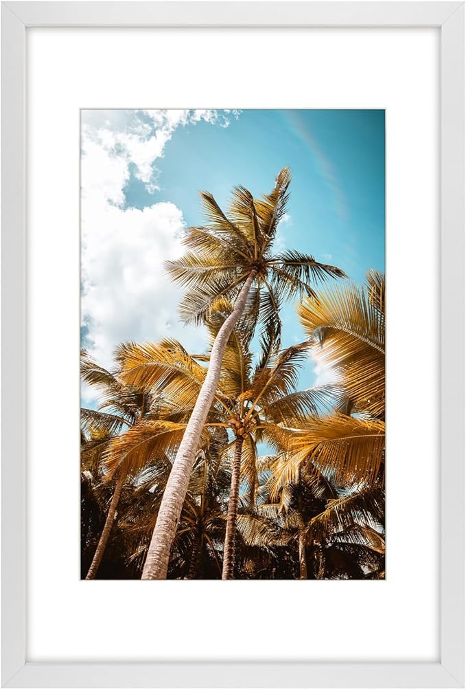 Frametory 16x24 White Picture Frame with Real Glass Mat for 12x18