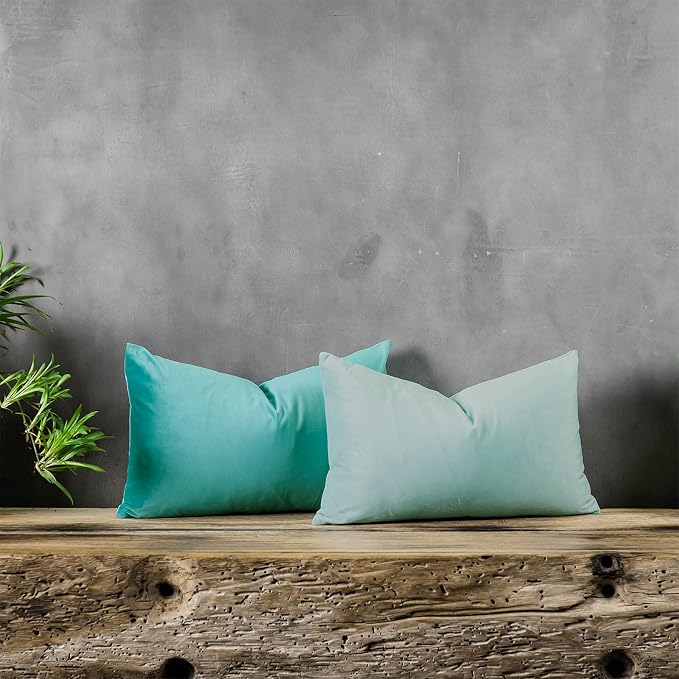 Mist Decorative Lumbar Velvet Throw Pillow Covers 16x24 inch Set of 2 with Zipper Luxury Soft Solid Rectangle Cushion Covers Case for Sofa Couch Bed Living Room