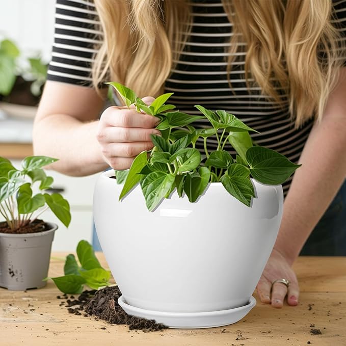Ceramicfor Ceramic Pot for Plants, 8 Inch Planter, Glossy White | Plant Pot with Drainage Hole and Saucer, Round Planter for Indoor Plants, Modern, Plant Lover Gifts, Home Office Garden Decor