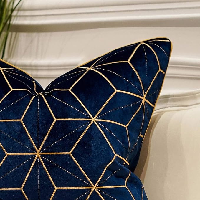 Avigers Throw Pillow Cover 20 x 20 Inch, Blue Gold, Velvet, Hidden Zipper