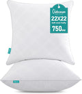 Oubonun 22x22 Throw Pillows Inserts, 2 Pack Square Decorative Pillows Inserts, Soft Fluffy Plump Pillow Sham Stuffer for Bed Couch Sofa Cushion
