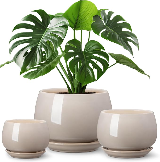 vancasso 3-Pack Ceramic Plant Pots, 3.7/4.8/6.2 Inch Indoor Planters with Saucers & Drainage Hole Planter pots for Indoor Plants and Flower, Gray